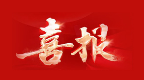 安徽國(guó)風(fēng)木塑科技有限公司再獲殊榮 ——中國(guó)輕工塑料行業(yè)（塑木...